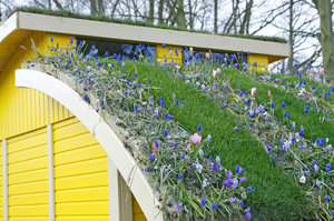 One method to get a green roof