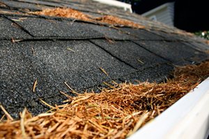 gutter without a gutter guard