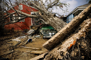 Hurricane Damage